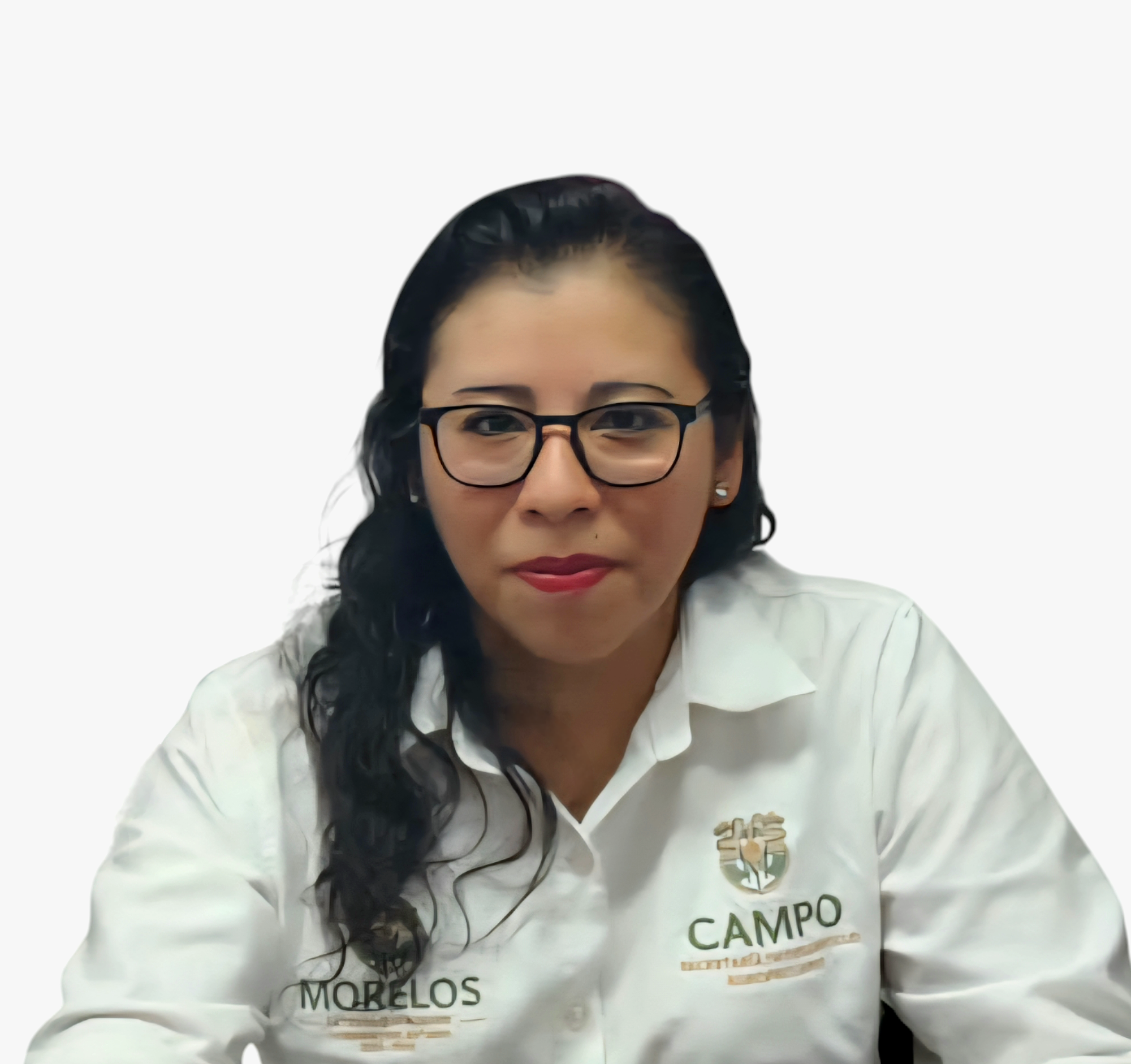Anabel Ivett Carrillo Hernández